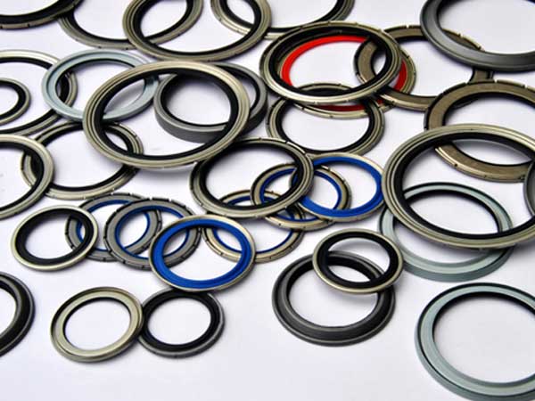 Bearing Seals and Shields